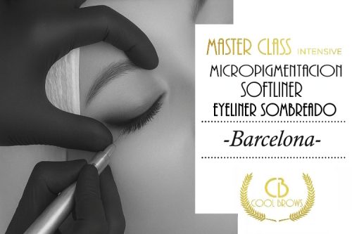 CURSO ESPECIALIZACION OJOS SOFT-LINER